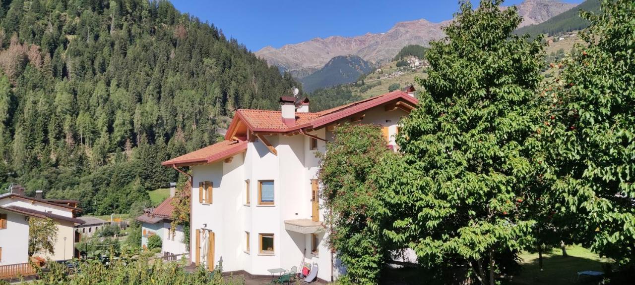 Appartamento Mary - Casa Green - Dog Friendly, Box Auto Cogolo Zewnętrze zdjęcie