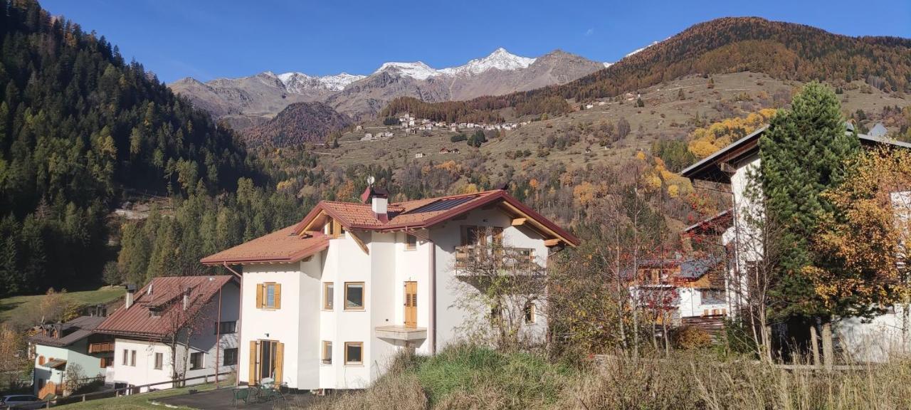 Appartamento Mary - Casa Green - Dog Friendly, Box Auto Cogolo Zewnętrze zdjęcie